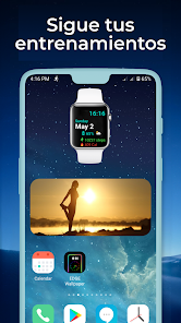 Imagen de la captura de pantalla