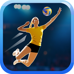 Fine Volleyball