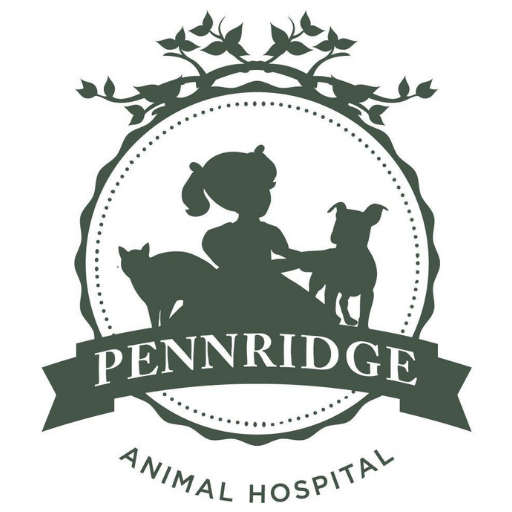 Pennridge Animal Hospital Apps on Google Play