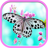 Butterfly Wallpaper 2016 icon