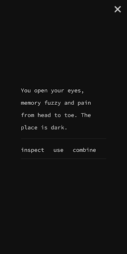 Blank - Room Escape Puzzle Screen 2