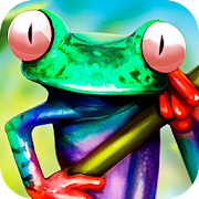 Rain Forest Animals - Wild Frog Survival Sim
