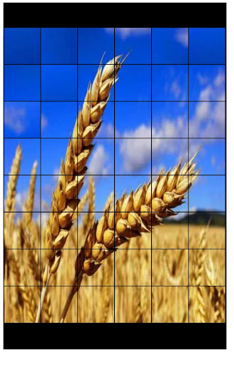 Пазли Українською Photo Puzzle Screen 2