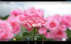 screenshot of 3D Rose Live Wallpaper