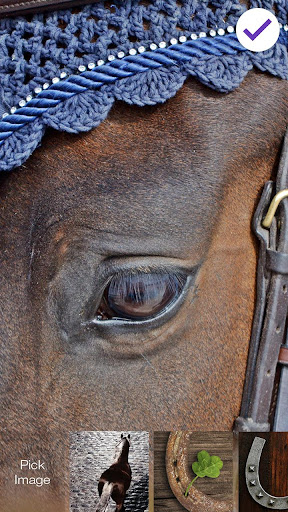 Cossack herradura bloqueo de pantalla