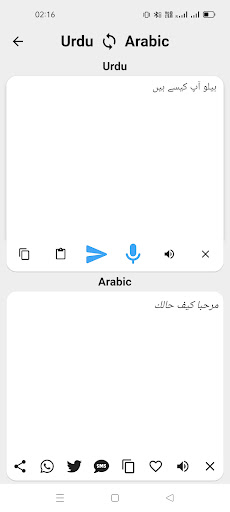 Urdu To Arabic Translator Screen 2
