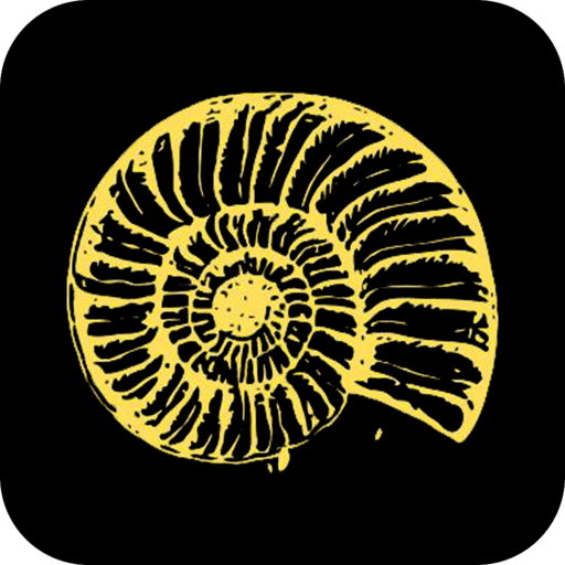 рАкушка | Краснодар logo