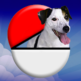 Pocket Puppy GO icon