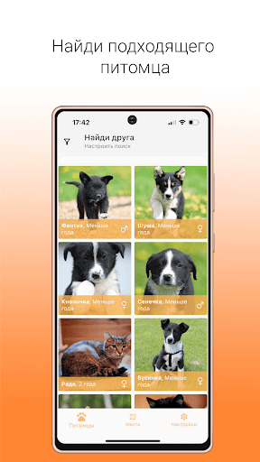 Android application Goodog взять питомца из приюта screenshort