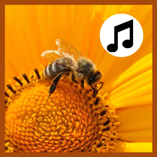 Sonidos de Abejas, ringtones. logo