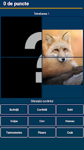Captură de ecran