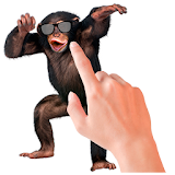 Tickle Talking Monkey icon
