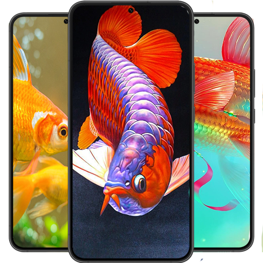 My Image 5