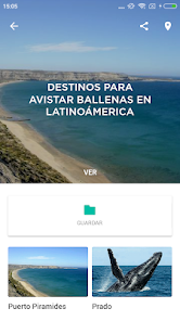 Captura 4 Puerto Madryn Guía turística e android
