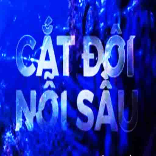 Cắt đôi Nỗi Sầu Remix