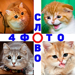 4 Фото 1 Слово. Где логика?