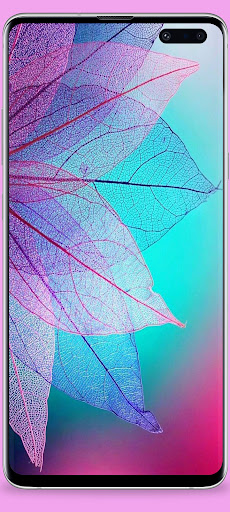 Pink wallpaper Screen 3