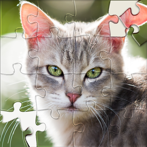 HD Jigsaw Puzzles Sorting Game  Icon