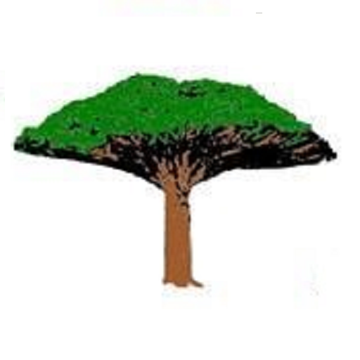 حكايات سقطرية logo
