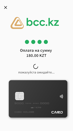 BCC Pay Screen 3