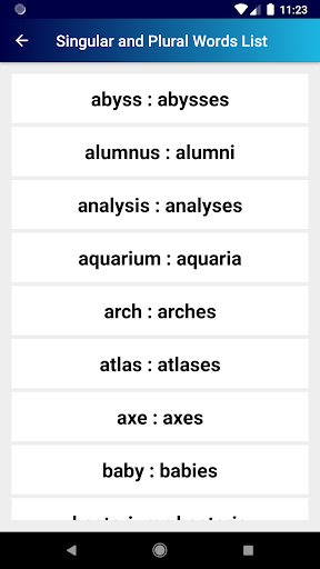 Singular and Plural Words List Screen 3