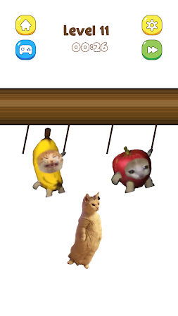 Game screenshot Cat Tennis: Battle Meme apk download