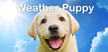 Weather Puppy - App & Widget APK