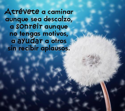 Lindas Reflexiones Positivas Screen 3