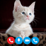 Cover Image of Download Cat Fake Video Call prank  APK