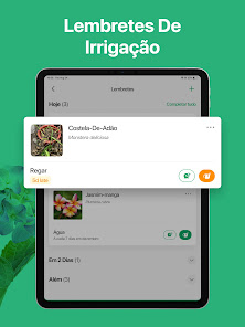 Imagem da captura de tela