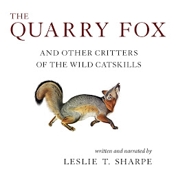Obraz ikony: The Quarry Fox: And Other Critters of the Wild Catskills