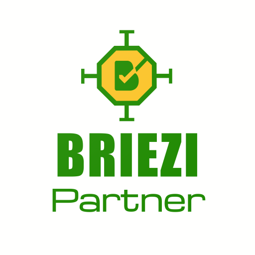 Briezi Partner logo