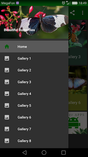 Android application Beautiful Butterflies screenshort
