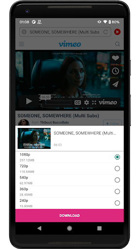 Video Downloader