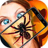 Spider Real 3D Camera Prank icon