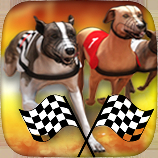 Dog Racing Betting Online  Icon