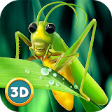 Grasshopper Insect Simulator icon