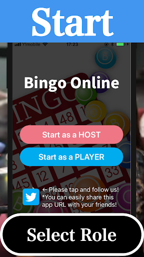 Bingo
