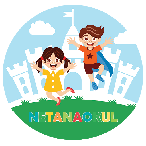 NetAnaOkul logo