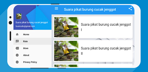 suara pikat cucak jenggot