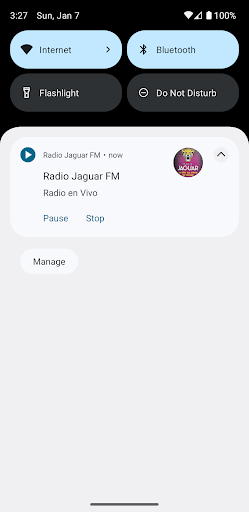 Radio Jaguar Screen 3