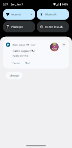 Radio Jaguar
