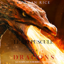 Icon image Le Crepuscule des Dragons (Le Temps des Sorciers — Tome Six)