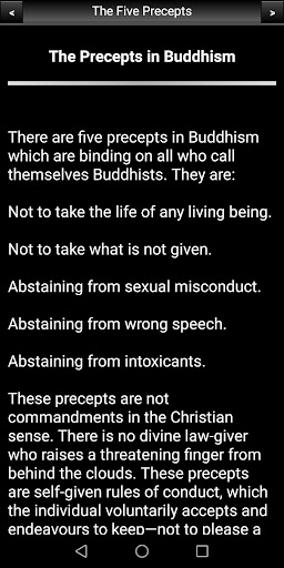 Buddhism: The Five Precepts Screen 3
