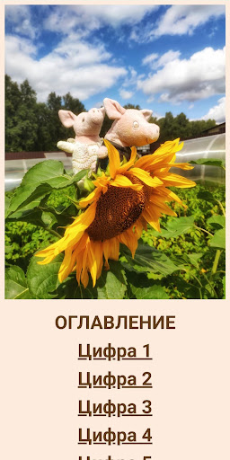 Android application Цифрариум - Фотосказка screenshort