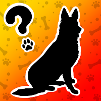 Anydog