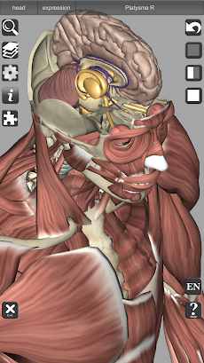 3D Bones and Organs (Anatomy)のおすすめ画像5