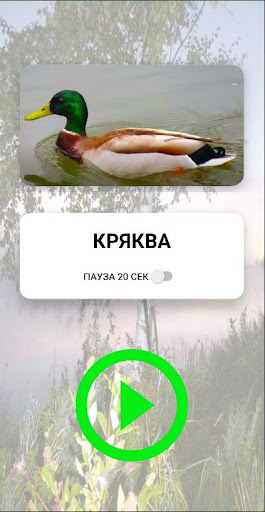 Android application Call duck screenshort
