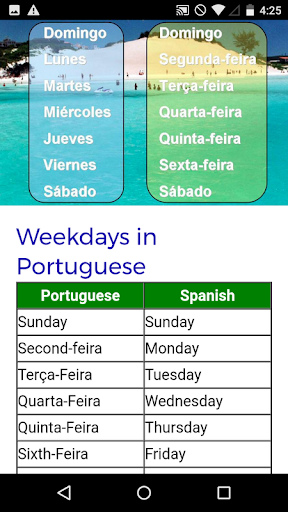 Portuguese Course