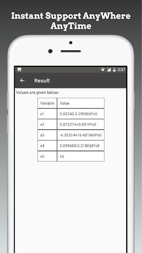 Screenshot of Linear Equation System Solver